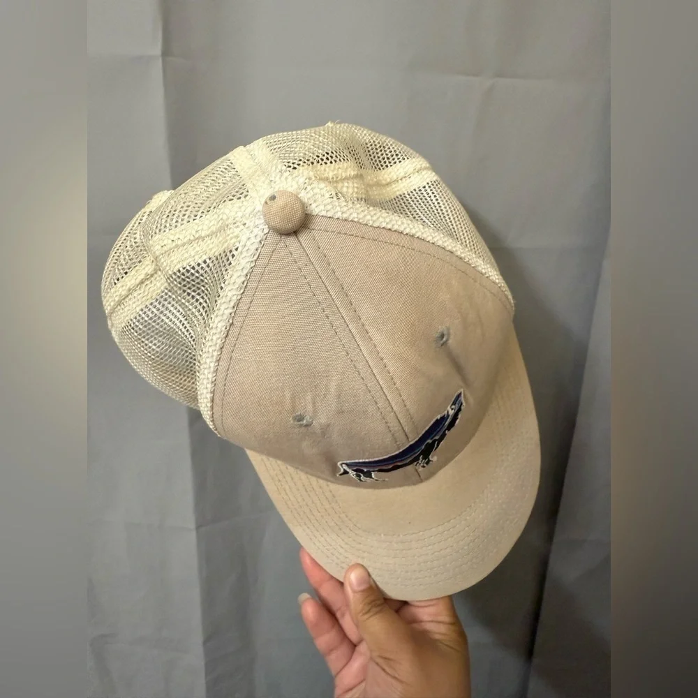 Patagonia Hat Cap Snap Back Mesh Fitz Roy Bison Buffalo Beige One Size Trucker